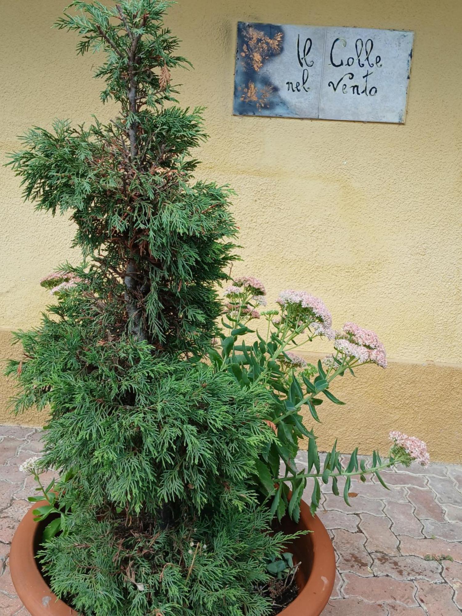 Casa Vacanza Il Colle Del Vento Calosso المظهر الخارجي الصورة