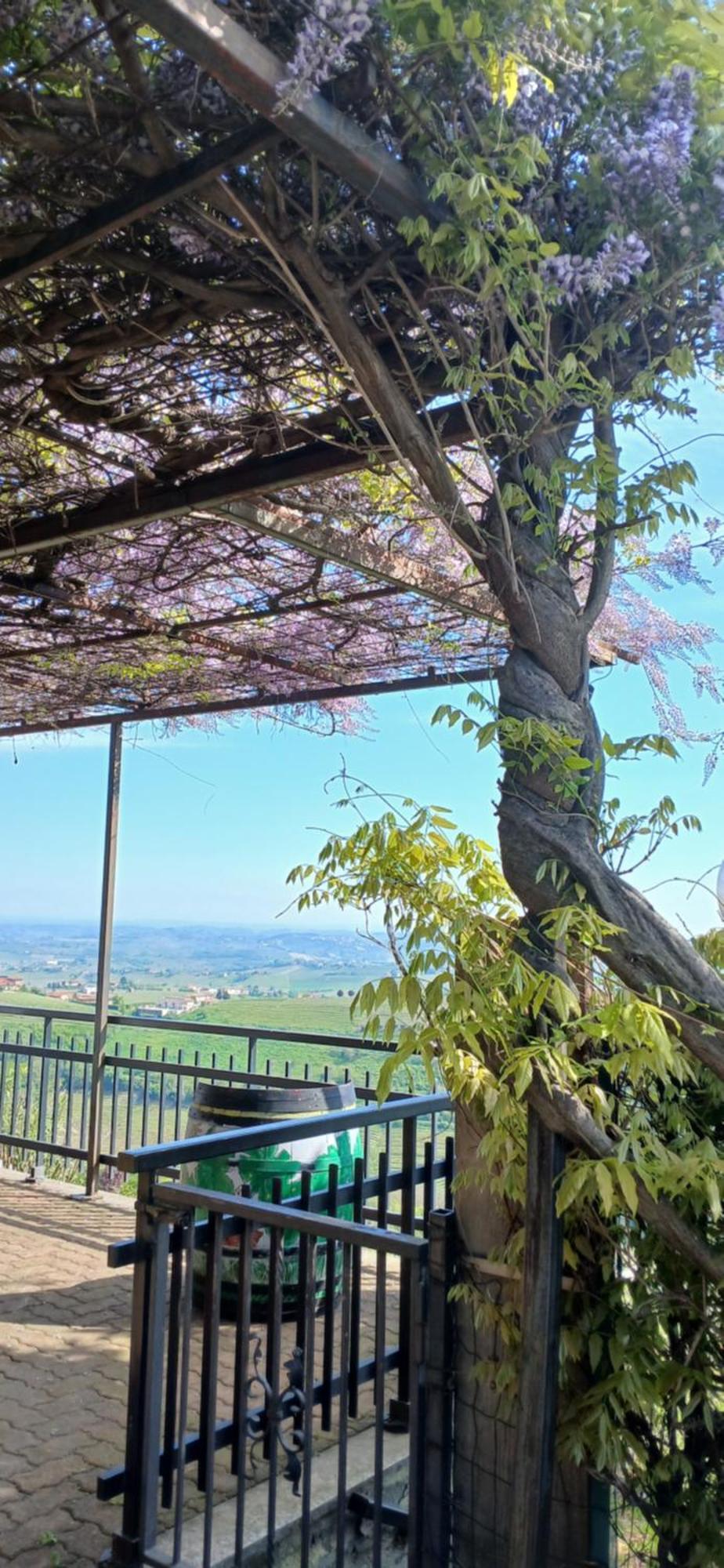 Casa Vacanza Il Colle Del Vento Calosso المظهر الخارجي الصورة